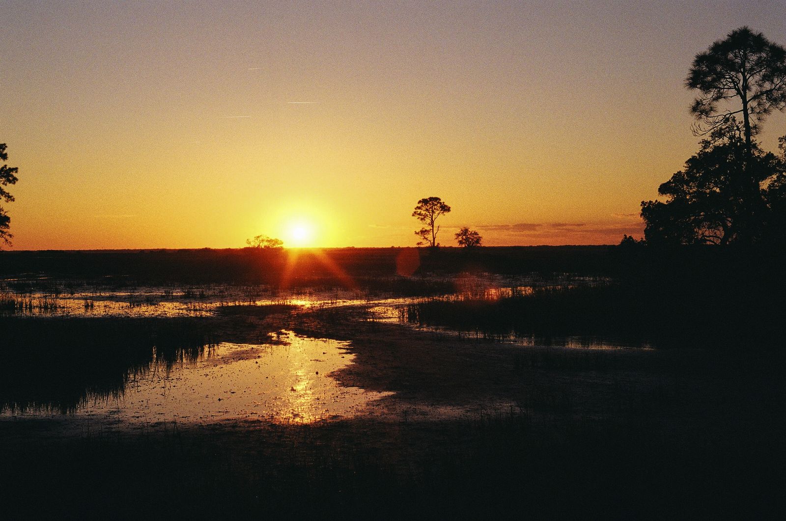 Golden sunset over a quiet tidal marsh