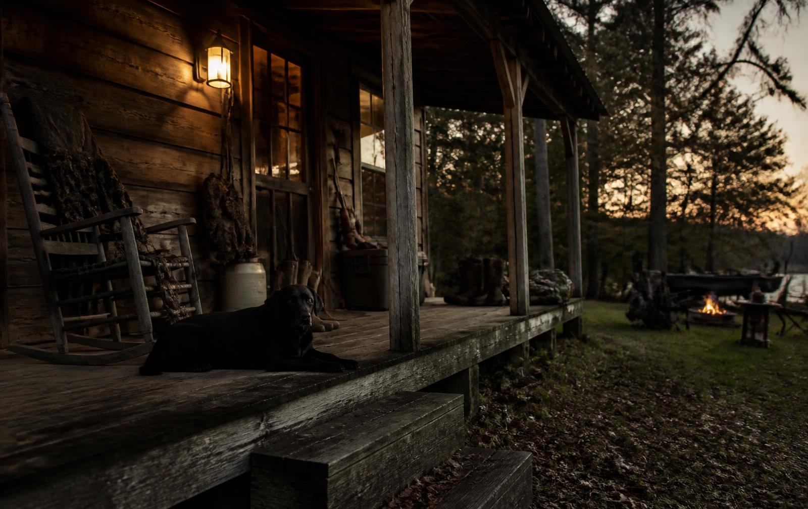 Hunting camp at first light in the Southern woods